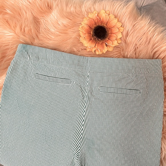 Green Stripe Women’s Capri Pants Pull On Tummy Flattening Sz 12 By Dalia - Picture 6 of 6
